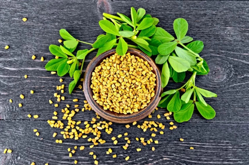 Ancient Superfoods: Fenugreek seeds or Methi