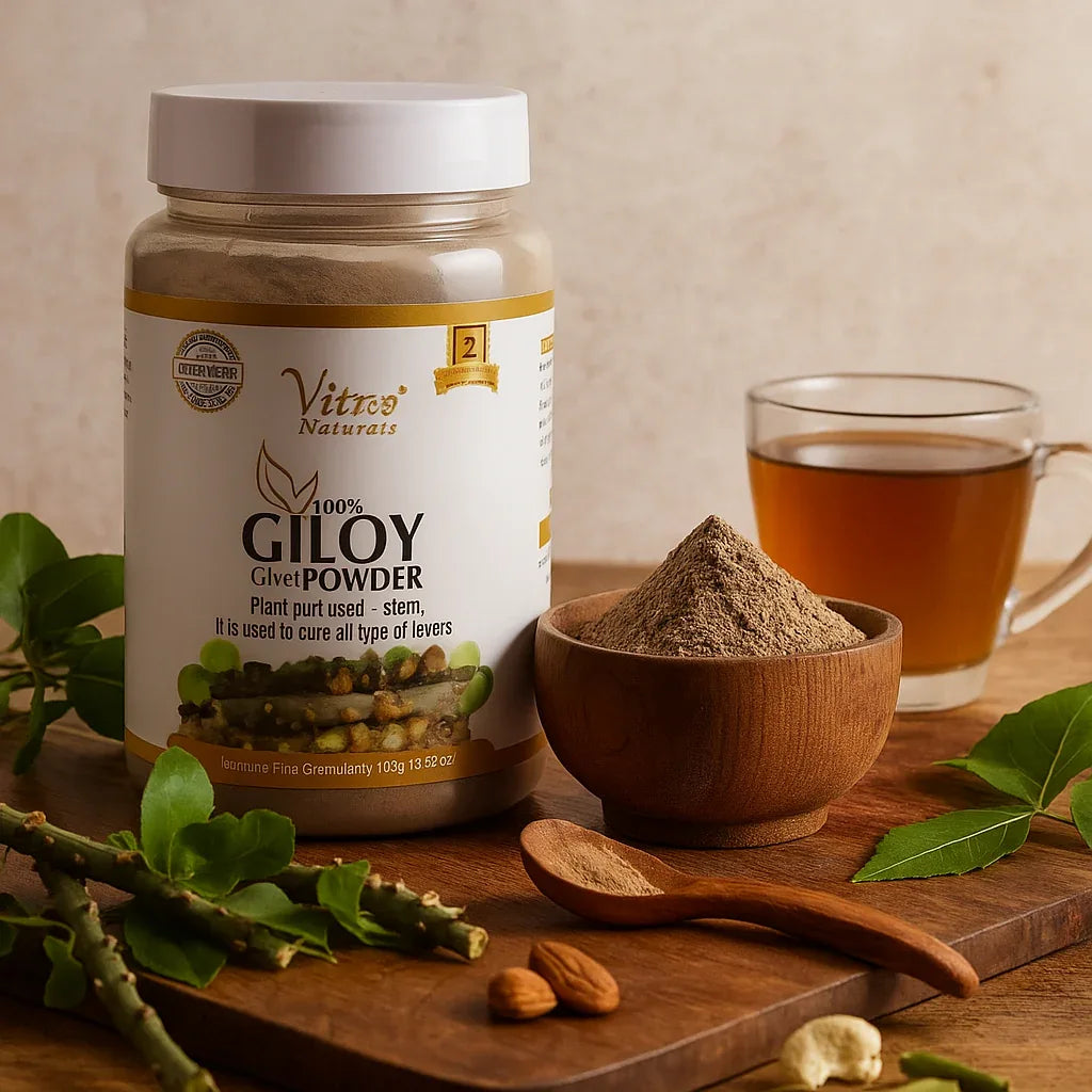 Vitro Giloy Powder