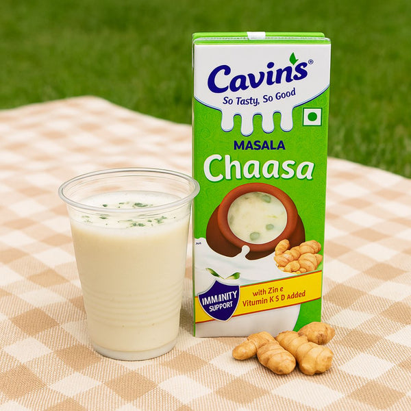 Cavins Masala Chaas 170ml|BB:03.DEC.2025