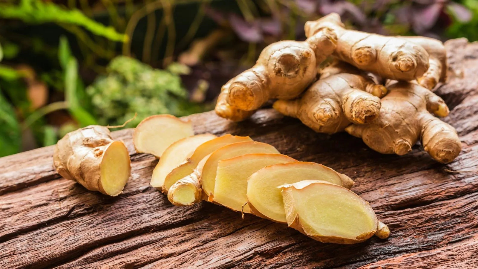 Ancient Superfoods: Amazing benefits of ginger