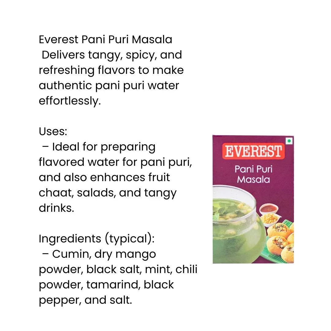 Everest Pani Puri Masala | 100g