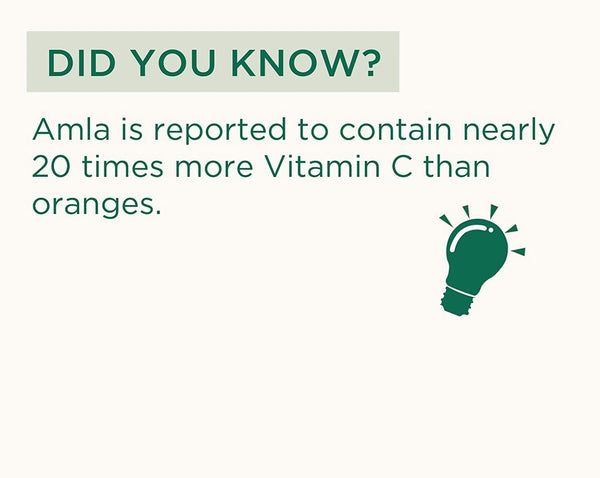 Vitro Amla Powder