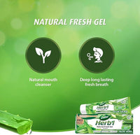 Dabur Herbal Natural Fresh Gel Toothpaste Aloe Vera 150g_Toothbrush Free