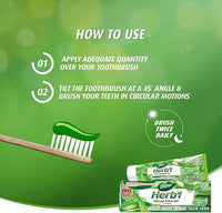 Dabur Herbal Natural Fresh Gel Toothpaste Aloe Vera 150g_Toothbrush Free