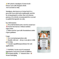 IB Wellness Jamalgota (Croton Seed) – Potent Ayurvedic Purgative Herb | For External Use Only