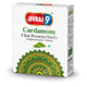 Jivraj 9 Cardamom Chai Premix 3 in 1 (Elaichi Tea) | 10 Sachets - Premium Pure Instant Elaichi Tea Mix for Quick & Easy Daily Brewing | Delivers Rich Cardamom Flavor & Aroma | South Africa | India Bazaar