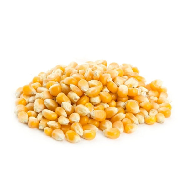 IB Popcorn Seeds