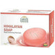 Green Valley Himalayan Soap (Natural Rock Salt Bathing Bar) | 90g - Mineral-Rich Exfoliating Herbal Cleanser for Body Detoxification & Soft Smooth Glow | South Africa | India Bazaar
