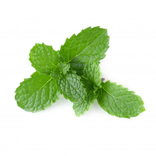 IB Dried Mint Leaves (Sukhi Pudina Patti) | 100g - Refreshing Herb Shards for Making Tangy Raita Yogurt, Chatpata Chaat Water & Chutneys | South Africa | India Bazaar
